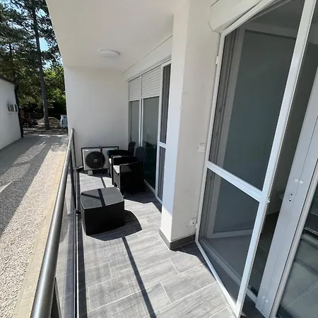 Sunday Rose Zamárdi